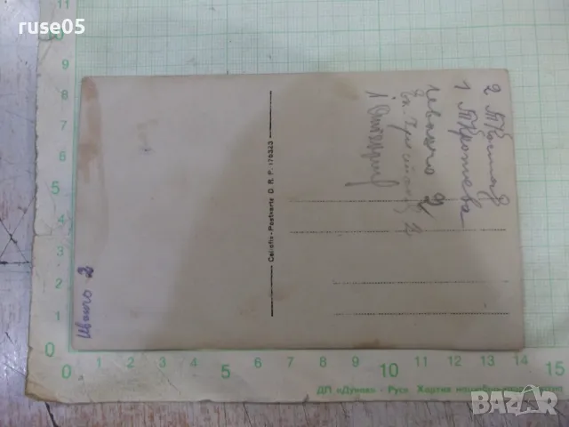 Снимка стара на младежи в градината, снимка 2 - Колекции - 47994447