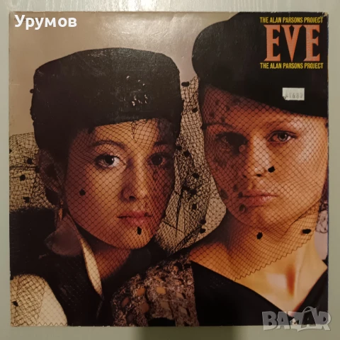 Лот плочи - The Alan Parsons Project, Cat Stevens, Mike Oldfield, Al Stewart, снимка 2 - Грамофонни плочи - 51236373