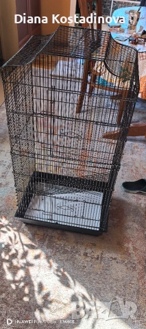 Голяма клетка 