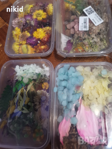 Микс сухи цветя гипсофил гипсофила в кутия за декорация натурални сапун свещи свещ смола аранжиране, снимка 14 - Изкуствени цветя - 36331627