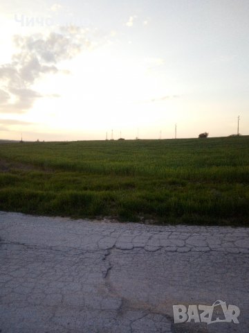с. Близнаци - земя 3.01дка, снимка 4 - Земеделска земя - 38726213