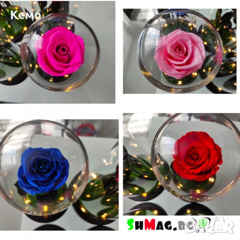 Вечна естествена роза в стъкленица, снимка 12 - Декорация за дома - 27657211