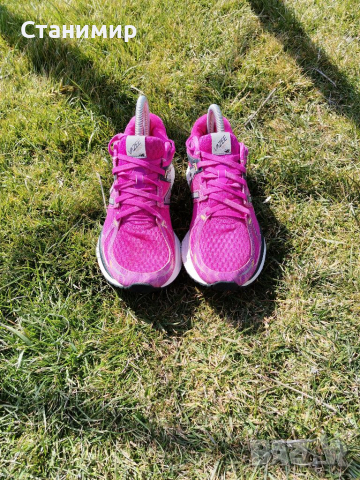 Топ цена марстонки