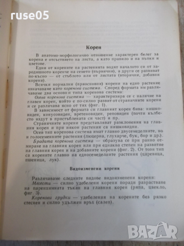 Книга "Екскурзионна флора на България-Стою Вълев" - 736 стр., снимка 4 - Енциклопедии, справочници - 36312417