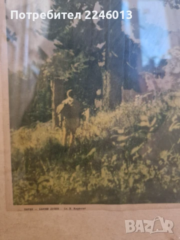 Стара картина -Н Маронски-Пирин-Баюви дупки, снимка 2 - Антикварни и старинни предмети - 50448383