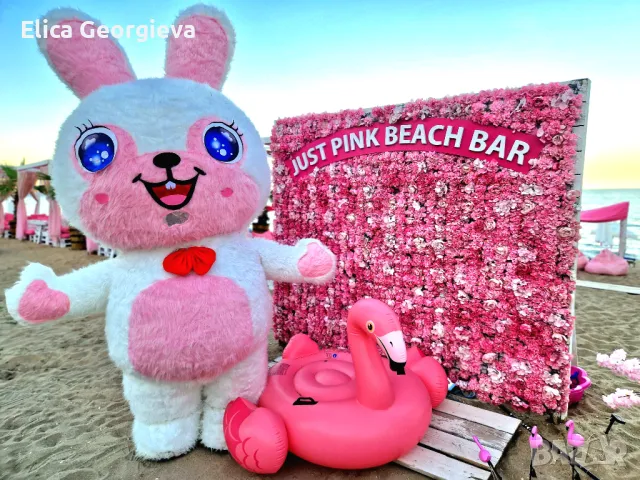 Бяло коледно мече Варна , снимка 11 - Детегледачки, детски центрове - 48101417