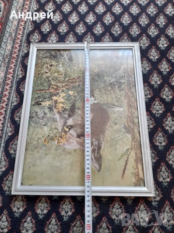 Стара снимка #17, снимка 5 - Други ценни предмети - 44480387