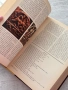 История на българите – От древността до края на XVI век , снимка 12