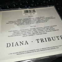 DIANA TRIBUTE X2 CD 0603241716, снимка 7 - CD дискове - 44638680
