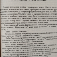 Кървавата бразда на Добруджа / Радостин Мирков , снимка 4 - Художествена литература - 44554283
