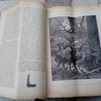 Списание "Природа",Първи брой,1893г., снимка 9 - Антикварни и старинни предмети - 35869889