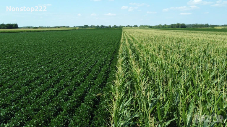 Земеделска Земя - Нива, снимка 1