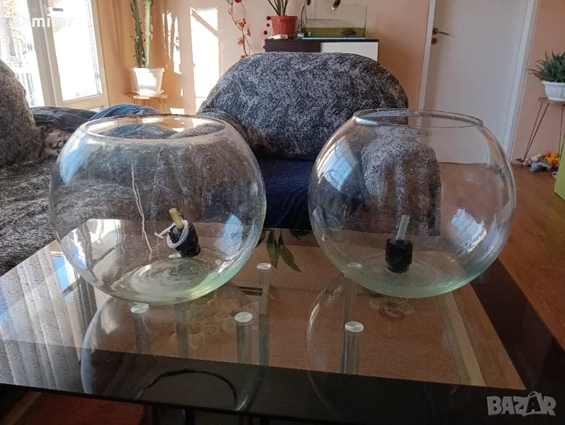 Аквариум колба, снимка 1