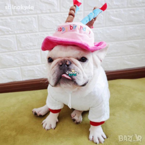Кучешка шапка за рожден ден Шапка за рожден ден на домашен любимец Шапки за кучешки рожден ден, снимка 1