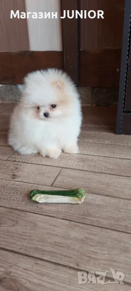 мини момиче, снимка 1