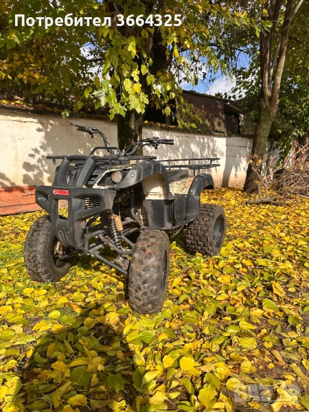 Атв-250сс, снимка 1