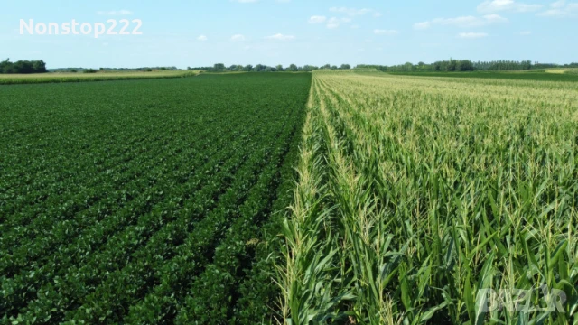 Земеделска Земя - Нива