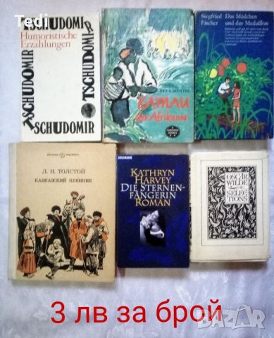 Книги на английски, немски, руски и други езици , снимка 4 - Чуждоезиково обучение, речници - 33801357