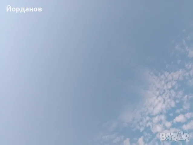 Продавам пазарджишки гълъби, снимка 11 - Гълъби - 54780576