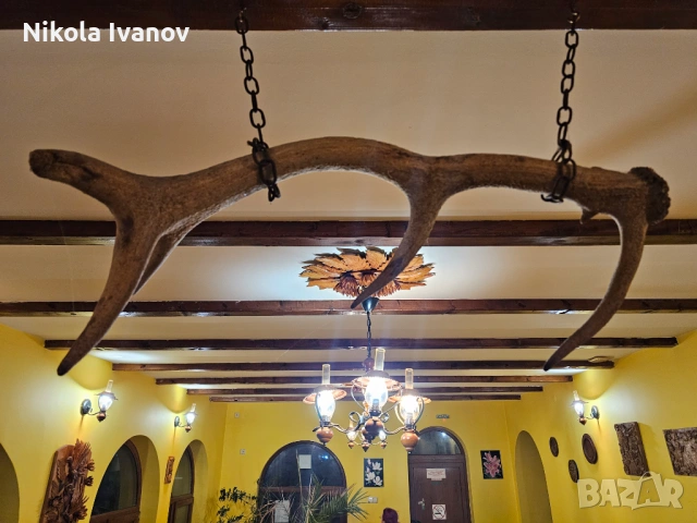 Автентичен рог от благороден елен (90 см) – идеален за декорация или полилей, снимка 4 - Декорация за дома - 53711976