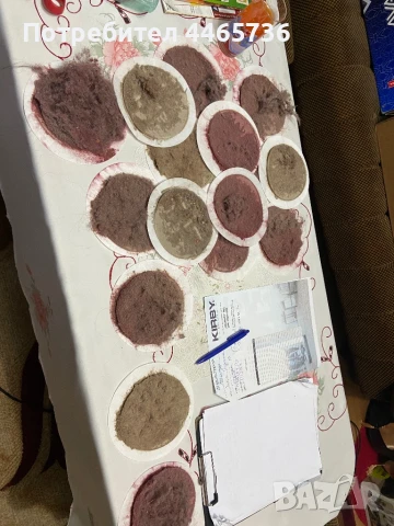 Почистващи услуги в град Асеновград и околностите, снимка 9 - Почистване на домове - 51249786