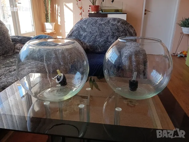 Аквариум колба