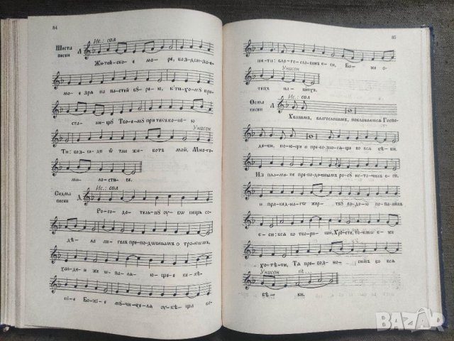 Продавам книга "Триод и Пентикостар .Петър Динев  , снимка 3 - Други - 41182216