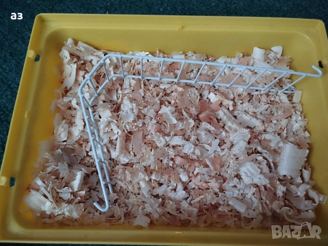 Продавам мъжки хамстер на 4 месеца , снимка 7 - Хамстери - 52533591