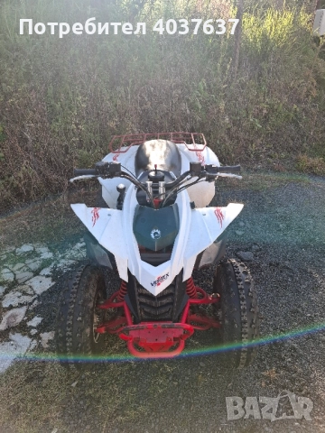 Can-Am DS 250 2009 , снимка 3 - Мотоциклети и мототехника - 52060885