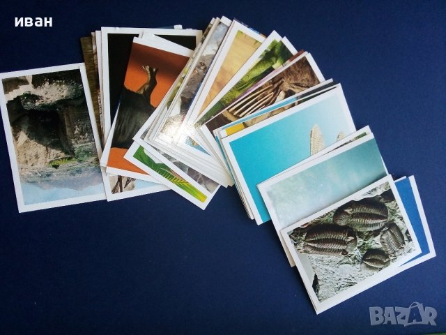 Стикер- албум "Праисторически времена" - Била - 2012г., снимка 2 - Колекции - 39309708