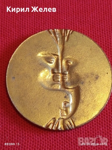 Плакет СЛЪНЦЕ и ЛУНА Alva Museum Replicas за КОЛЕКЦИЯ ДЕКОРАЦИЯ 53517, снимка 6 - Антикварни и старинни предмети - 53255256