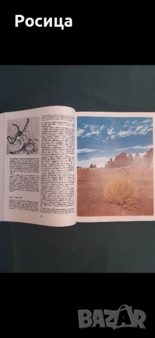 Африка на Лесли Браун от 1976 година, снимка 4 - Енциклопедии, справочници - 51776442