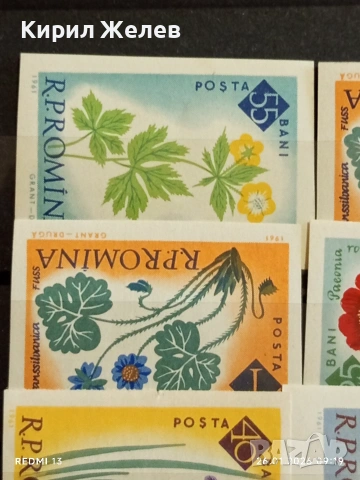 Стари пощенски марки без печат ЦВЕТЯ РУМЪНИЯ за КОЛЕКЦИЯ ДЕКОРАЦИЯ 52020, снимка 4 - Филателия - 53227487