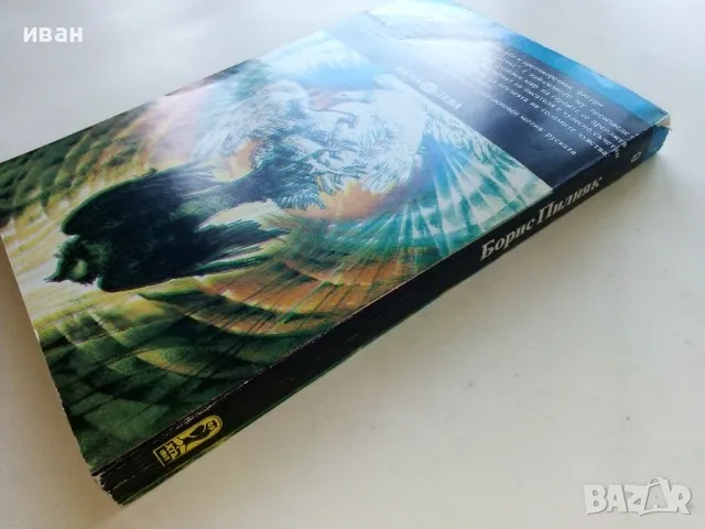 Гола година - Борис Пилняк - 1981г., снимка 5 - Художествена литература - 50053608