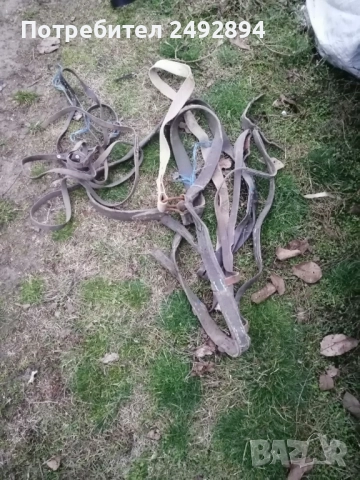 Конски хамут , снимка 6 - Други животни - 52506534