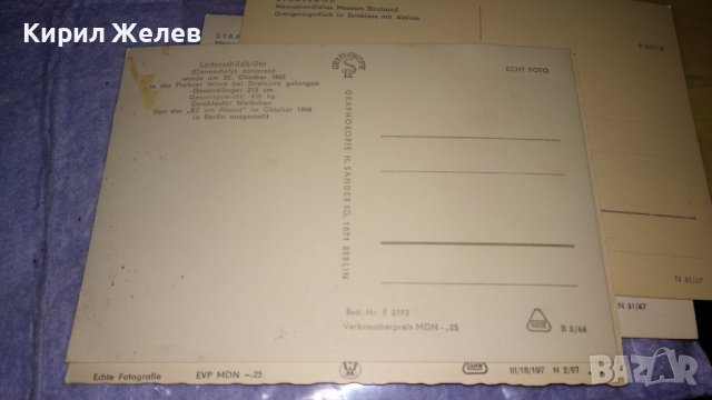 ЛОТ ЧЕТИРИ СТАРИ ПОЩЕНСКИ КАРТИЧКИ МОРСКА ФАУНА - НЕМСКИ КРАСИВИ 32459, снимка 9 - Филателия - 38652723