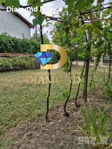 Едноетажна къща в село Книжовник, обл. Хасково, снимка 11 - Къщи - 51352509