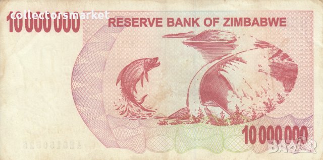 10 000 000 долара 2008, Зимбабве