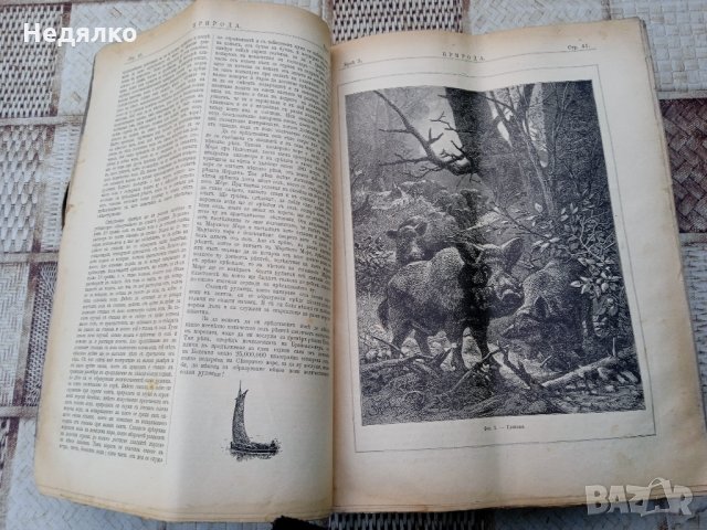 Списание "Природа",Първи брой,1893г., снимка 9 - Антикварни и старинни предмети - 35869889