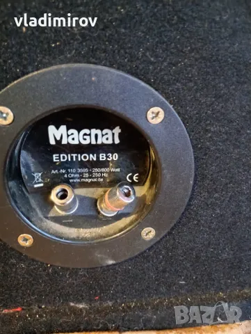 Бас каса магнат