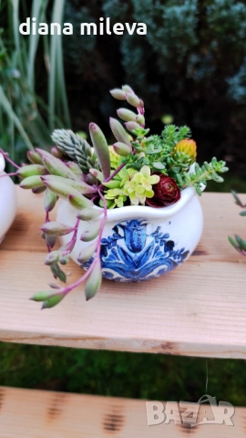 Гърнета аранжирани със сукуленти!, снимка 6 - Декорация за дома - 52496408