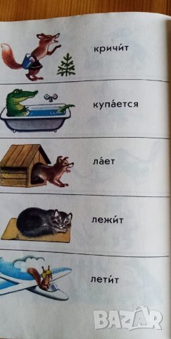 Картинный словарь русского языка от И. В. Баранников, А. Ш. Асадуллин, А. И. Грекул, В. А. Кашко, снимка 6 - Чуждоезиково обучение, речници - 35903787