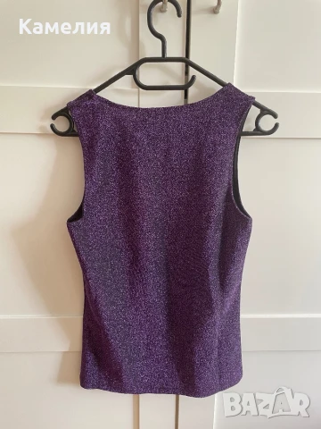 Блестящ потник, снимка 2 - Потници - 50754588