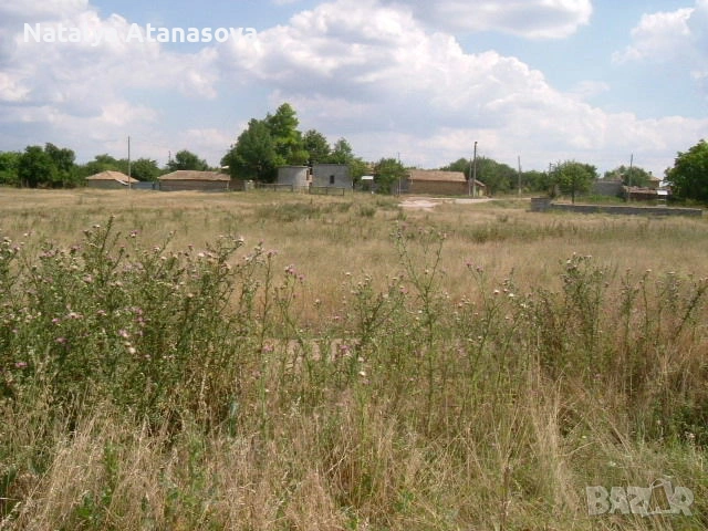 Парцел за продажба в Бдинци, Добрич, снимка 13 - Парцели - 53635006