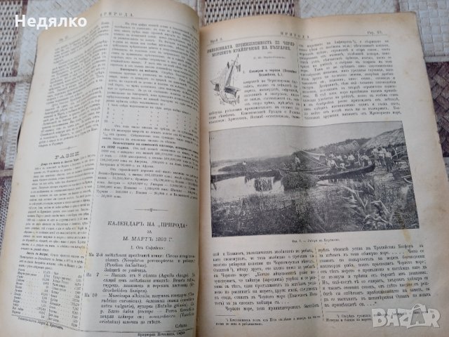 Списание "Природа",Първи брой,1893г., снимка 4 - Антикварни и старинни предмети - 35869889
