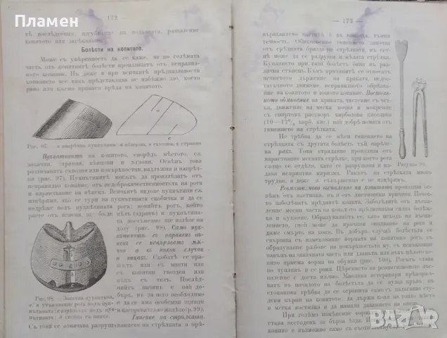 Коневъдство Павелъ Кулешовъ /1892/, снимка 15 - Антикварни и старинни предмети - 47534397