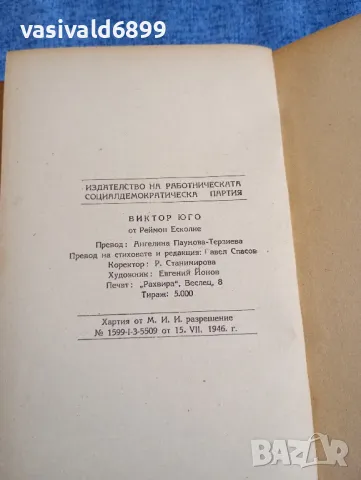Реймон Есколие - Виктор Юго , снимка 7 - Художествена литература - 48044029