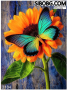 ДИАМАНТЕН ГОБЛЕН Пеперуда на слънчоглед, снимка 1 - Гоблени - 36153881