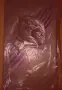 ХОТ ТОЙС/HOT TOYS BLACK PANTHER AND KILLER MONGULL/ , снимка 1