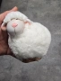 фигурки овца , снимка 1
